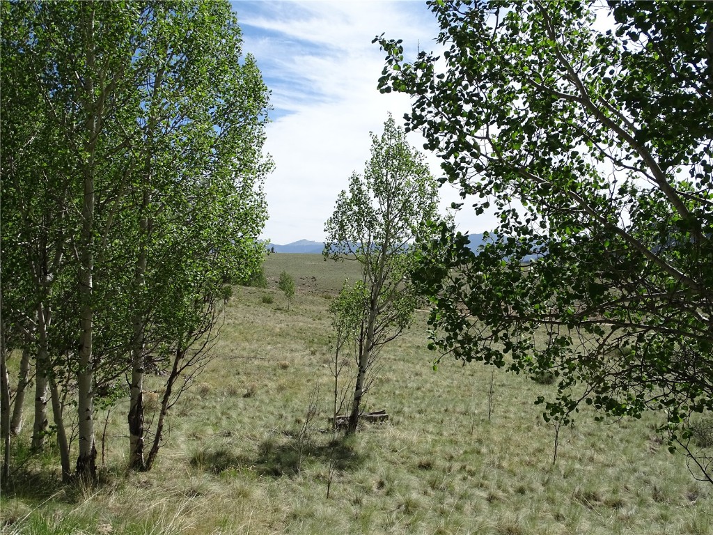 744 Arland Road Como, CO 80432 - Photo 18 of 30 Gallery Image 18