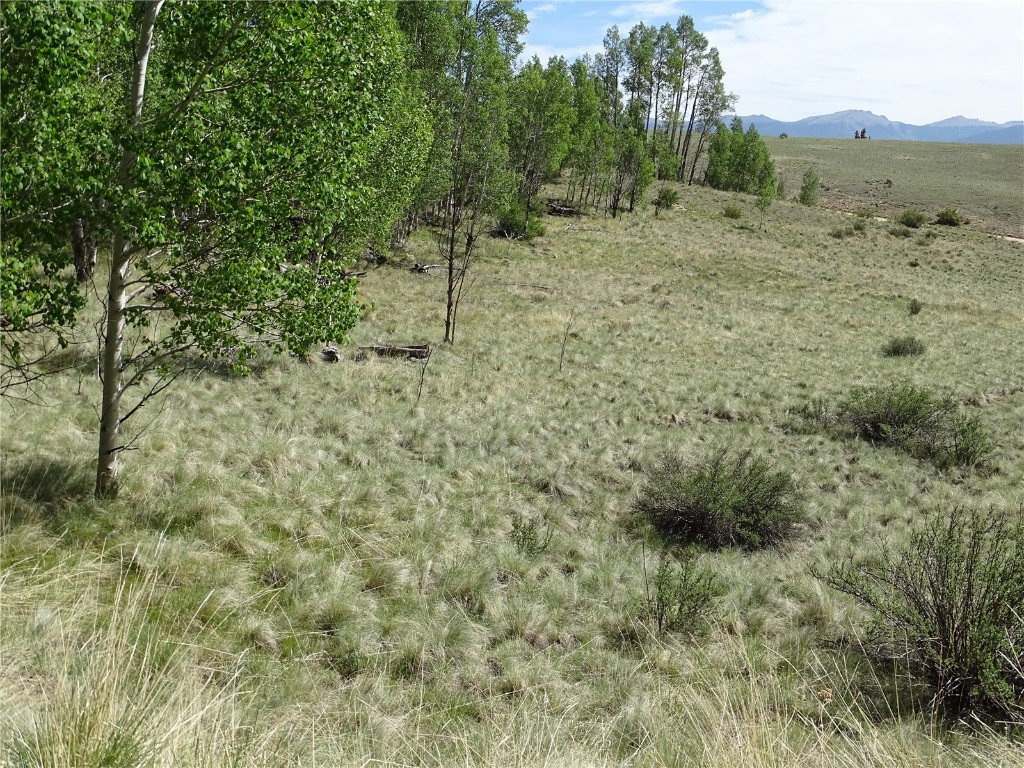 744 Arland Road Como, CO 80432 - Photo 21 of 30 Gallery Image 21