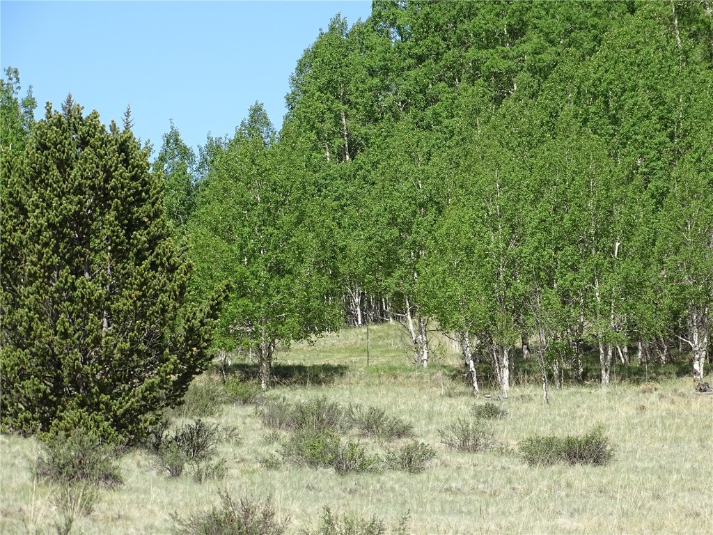 744 Arland Road Como, CO 80432 - Photo 7 of 30 Gallery Image 7