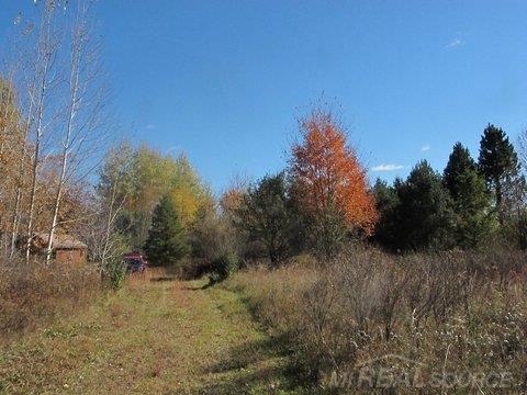 2004 Emerson Road Goodells, MI 48027 - Photo 2 of 6