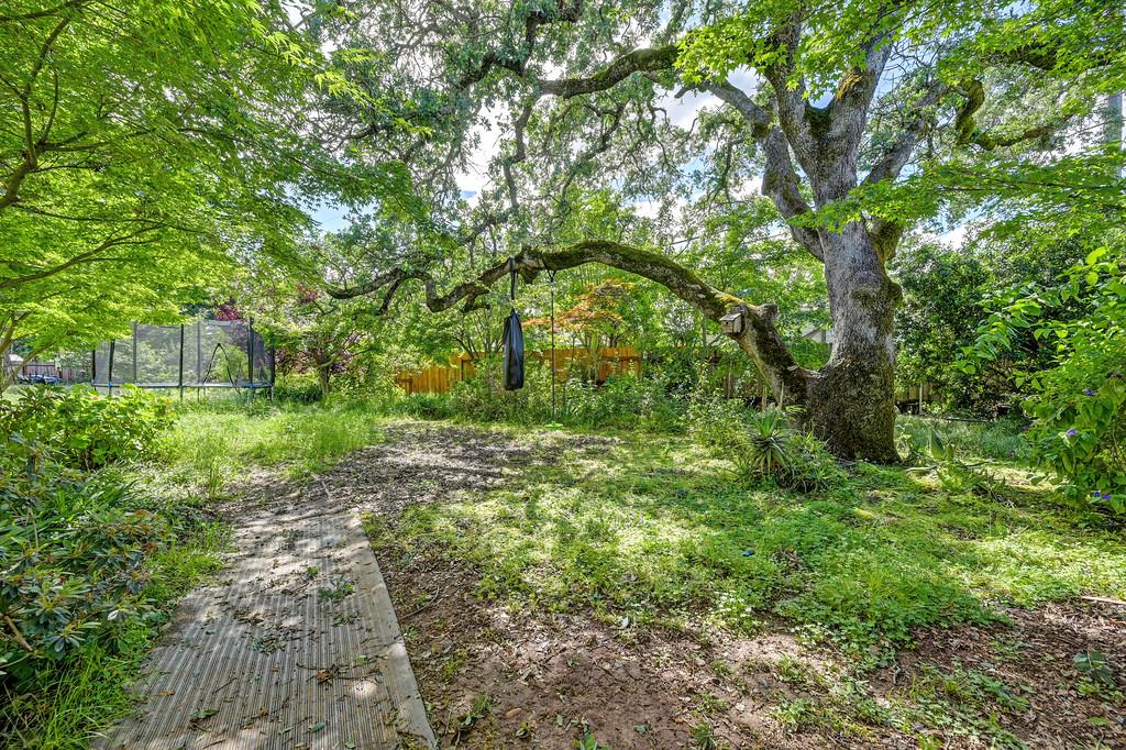 4601 Rigler Street Fair Oaks, CA 95628 - Photo 38 of 39