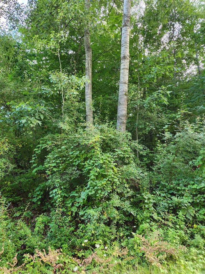 17 17 Mile Road Lakeview, MI 48850 - Photo 4 of 7