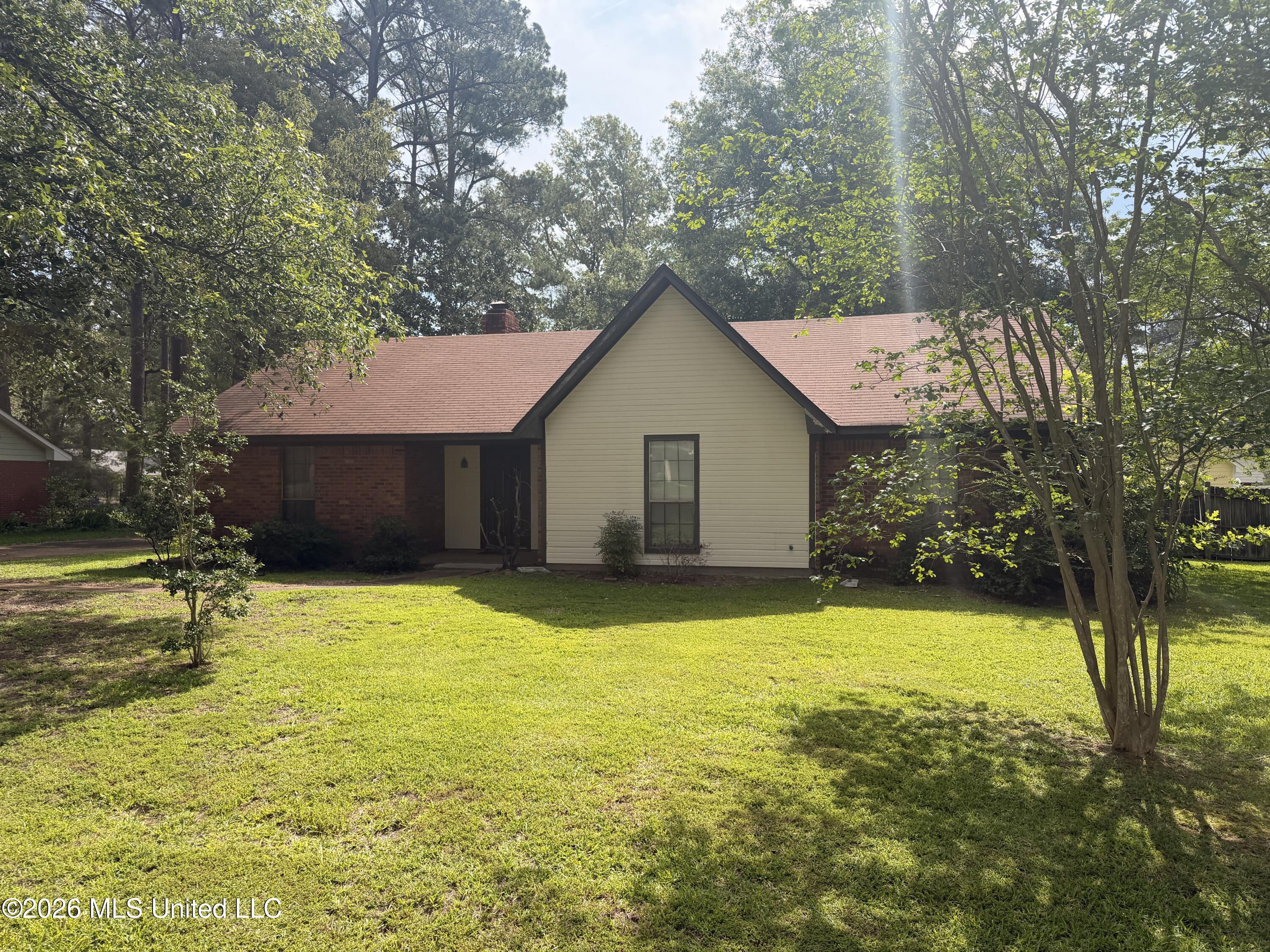 141 Plum Tree Road Brandon, MS 39047 - Photo 4 of 16 IMG_2526