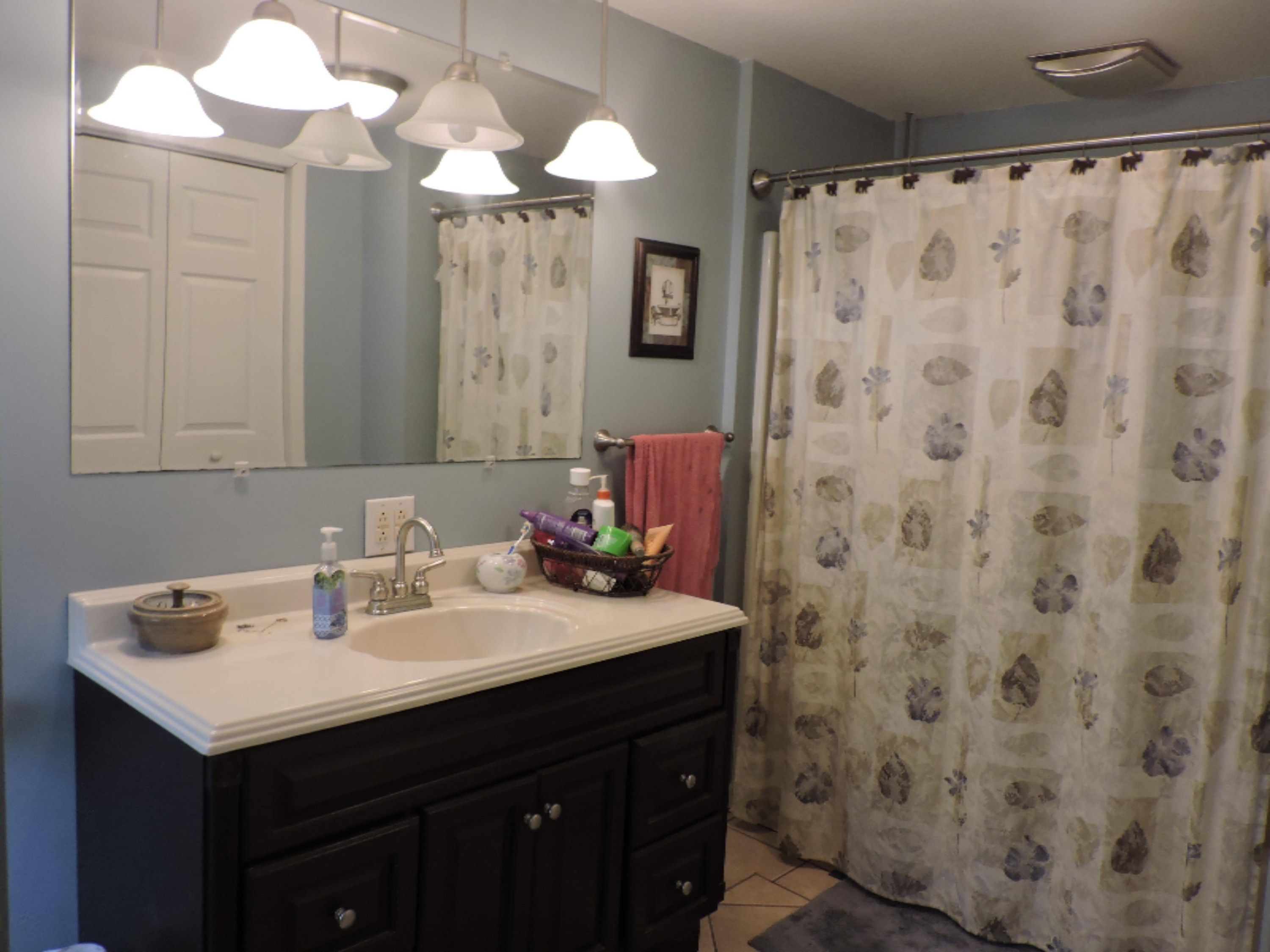 12751 Mercer Road Jerome, MI 49249 - Photo 11 of 21 DSCN0998