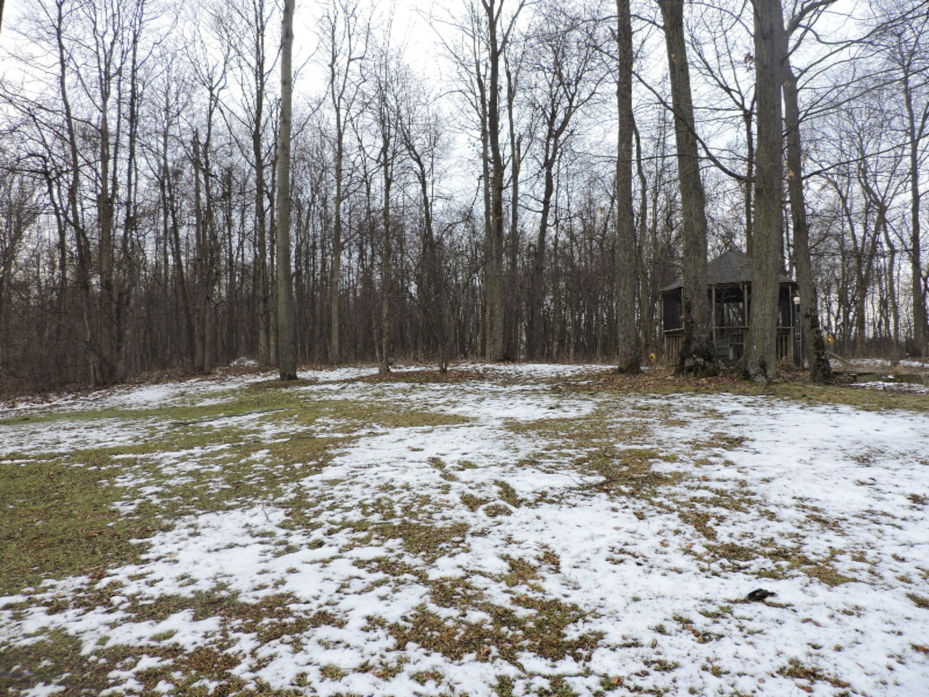 12751 Mercer Road Jerome, MI 49249 - Photo 2 of 21 DSCN1018