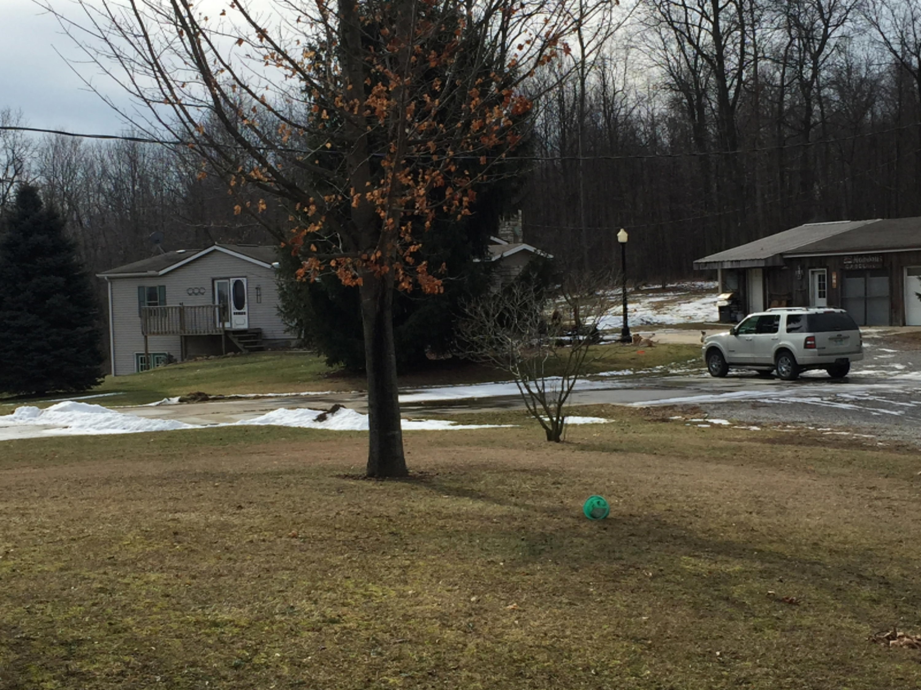 12751 Mercer Road Jerome, MI 49249 - Photo 21 of 21 IMG_3051