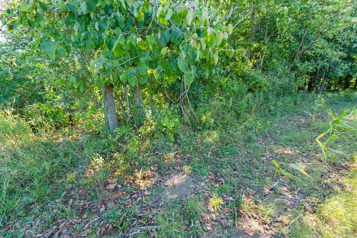 0 170th Street Spring Valley, WI 54767 - Photo 5 of 45 Gallery Image 5