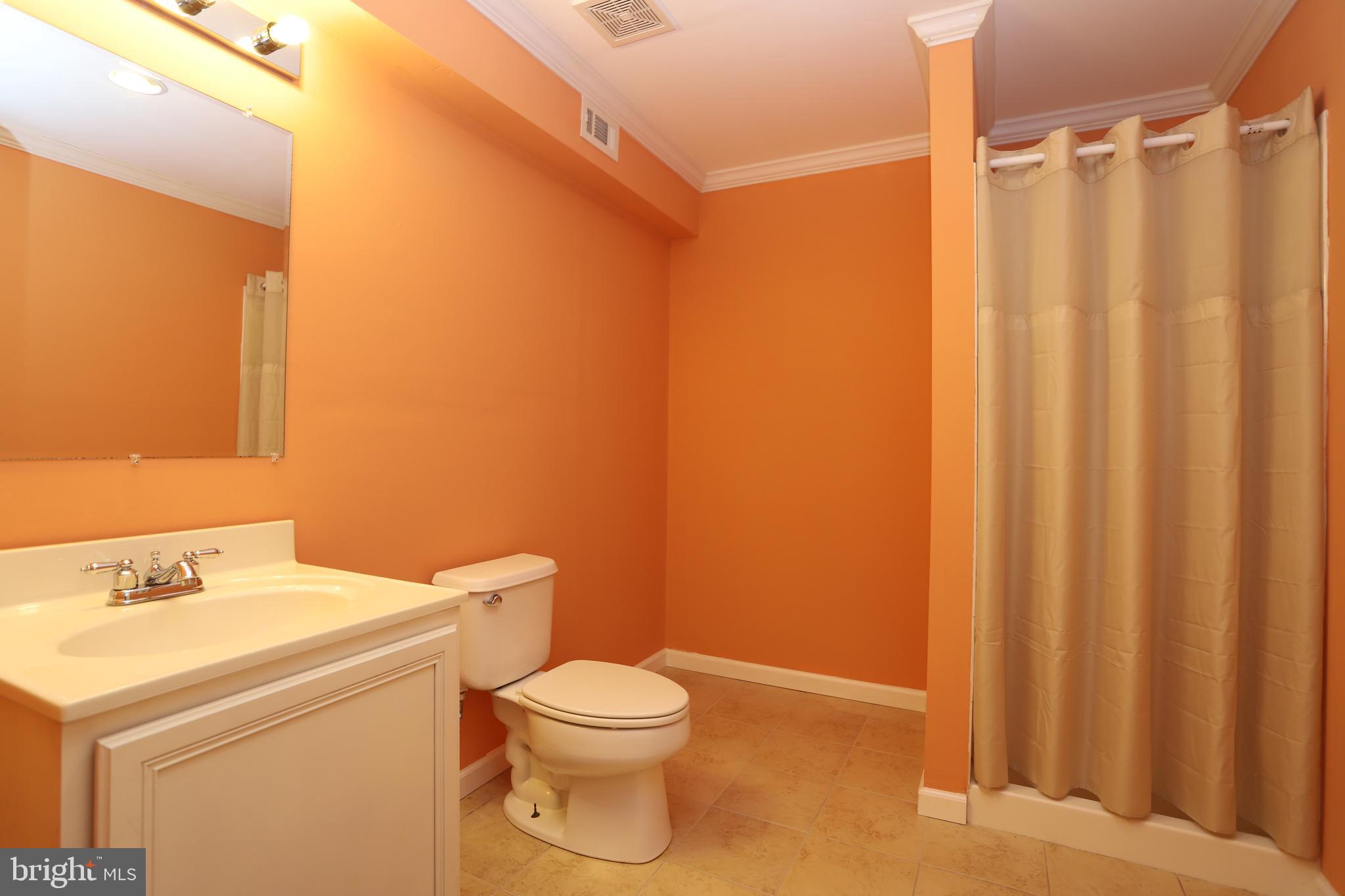 741 Holly Leaf Road Culpeper, VA 22701 - Photo 32 of 38 Lower Level Full Bath