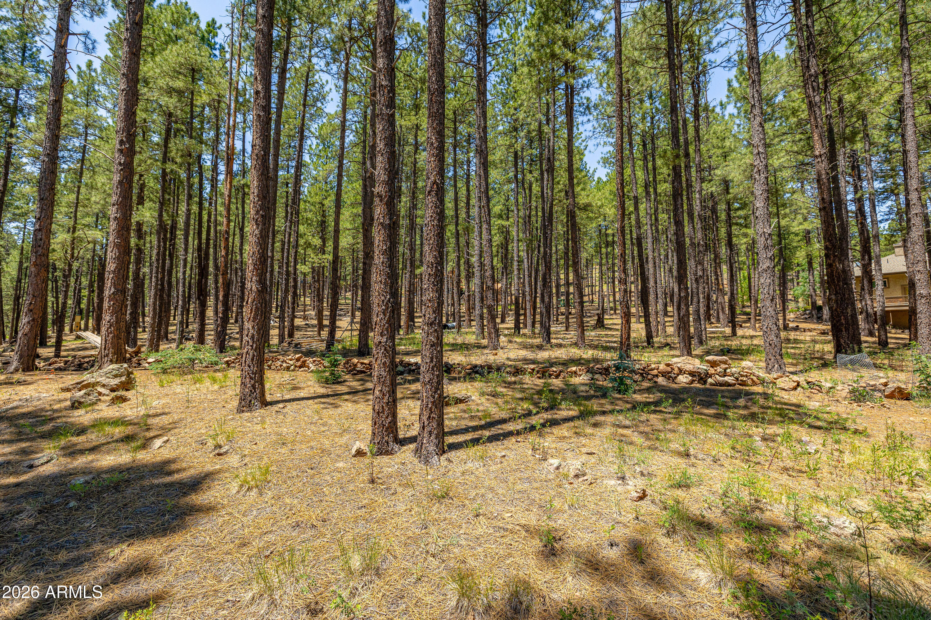 4875 Hidden Hollow Road Flagstaff, AZ 86001 - Photo 43 of 65