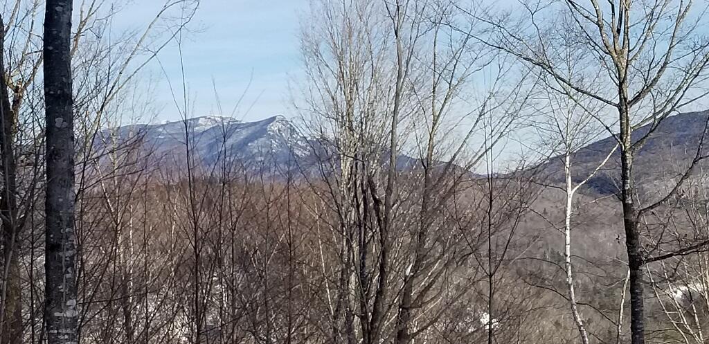0 Easter Hill Road Roxbury, ME 04275 - Photo 47 of 56 20210107_142901