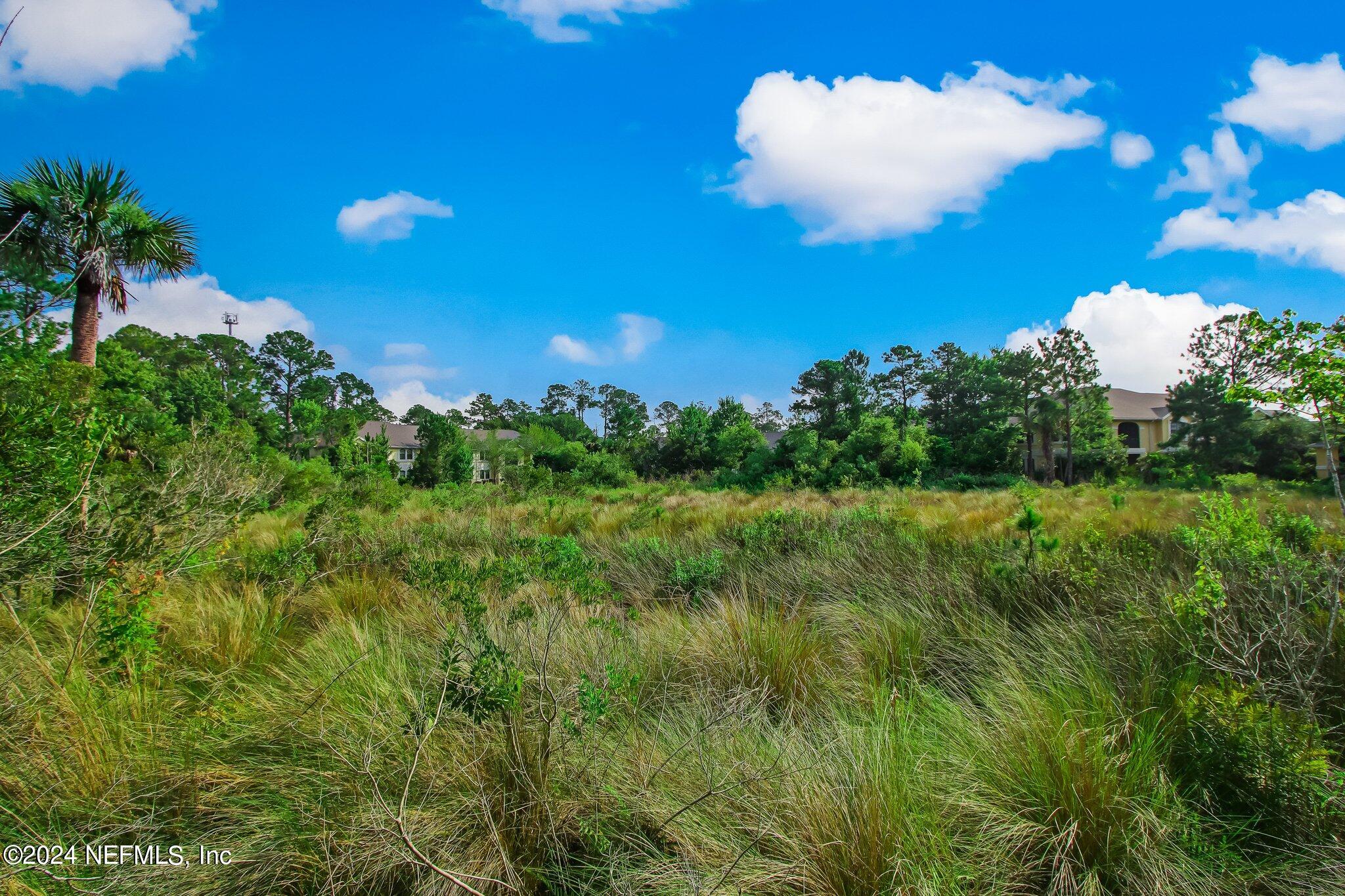 1216 Vista Cove Road St. Augustine, FL 32084 - Photo 78 of 79 59-web-or-mls-Vista Cove (10)