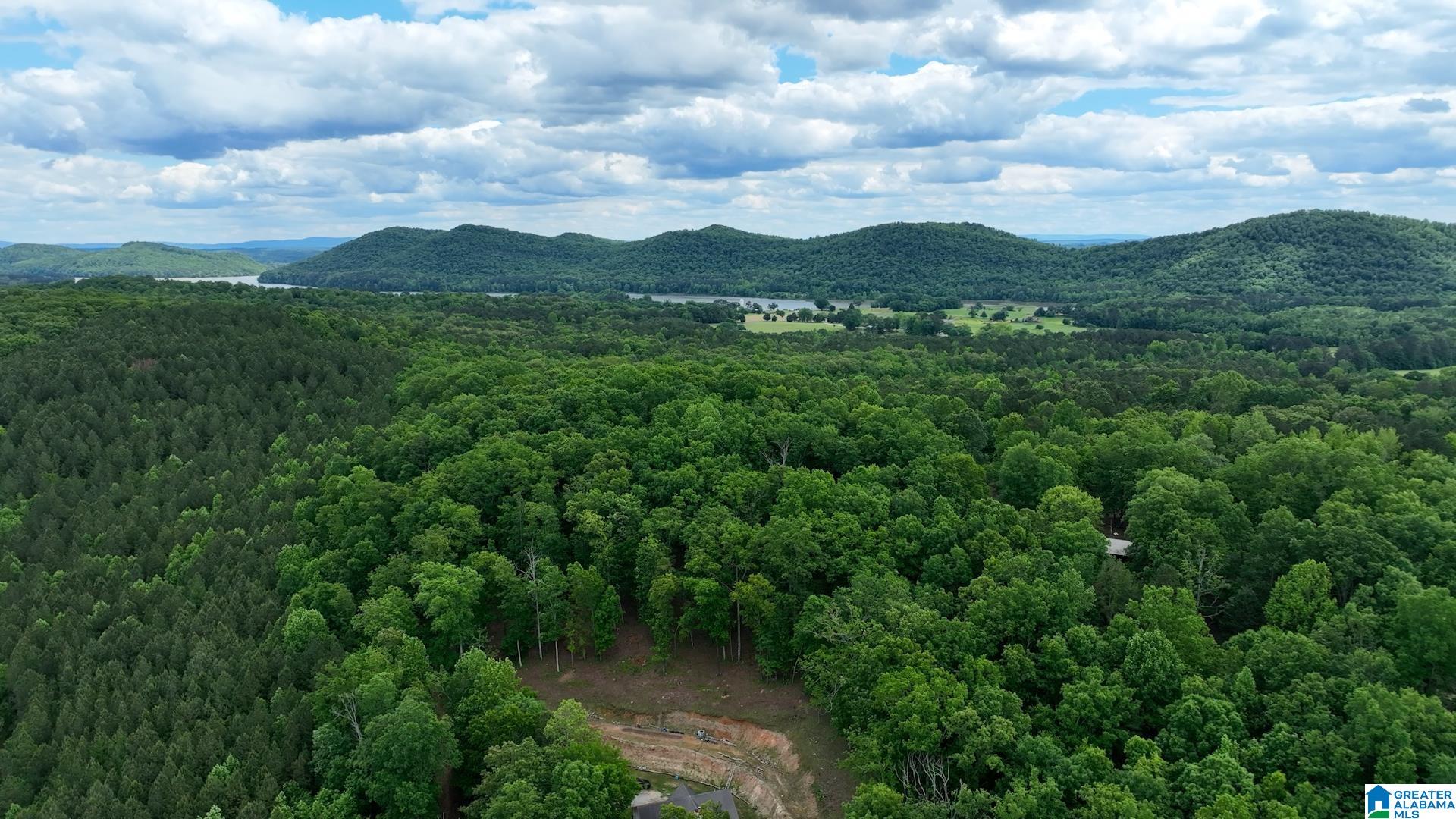 Colvin Springs Road, Unit 6 Ashville, AL 35953 - Photo 3 of 18