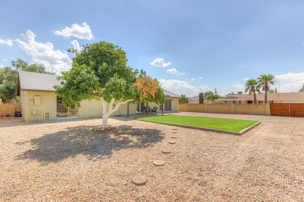 3416 East Cochise Road Phoenix, AZ 85028 - Photo 11 of 43 Yard