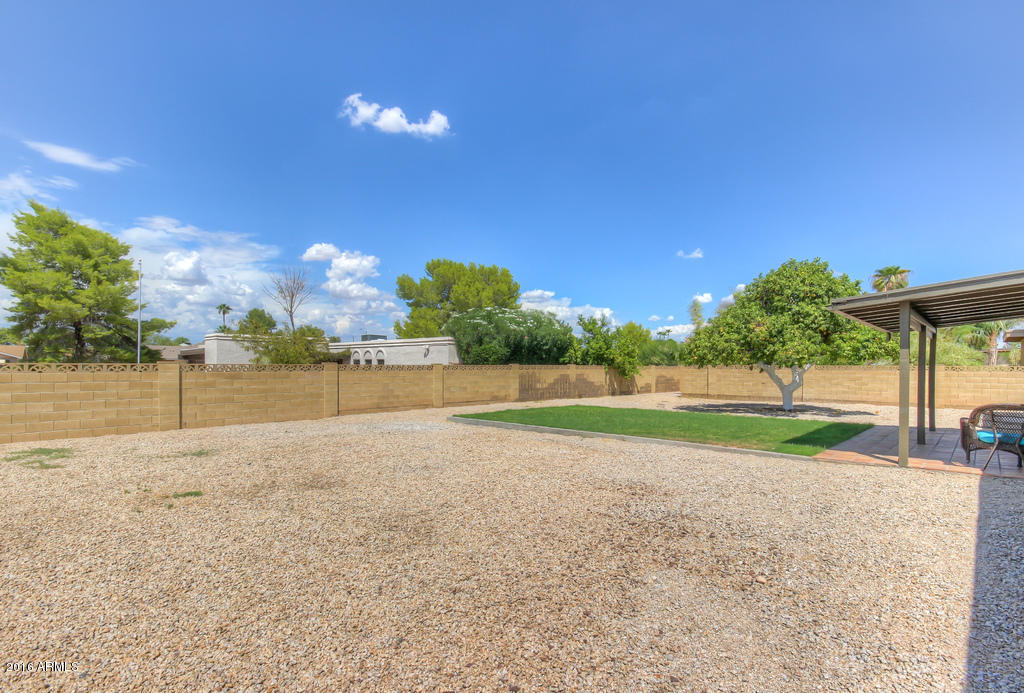3416 East Cochise Road Phoenix, AZ 85028 - Photo 13 of 43 Yard