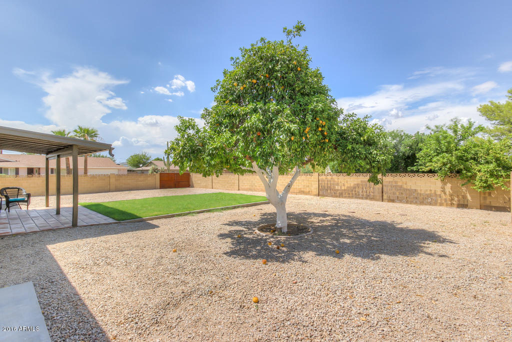 3416 East Cochise Road Phoenix, AZ 85028 - Photo 5 of 43 Yard