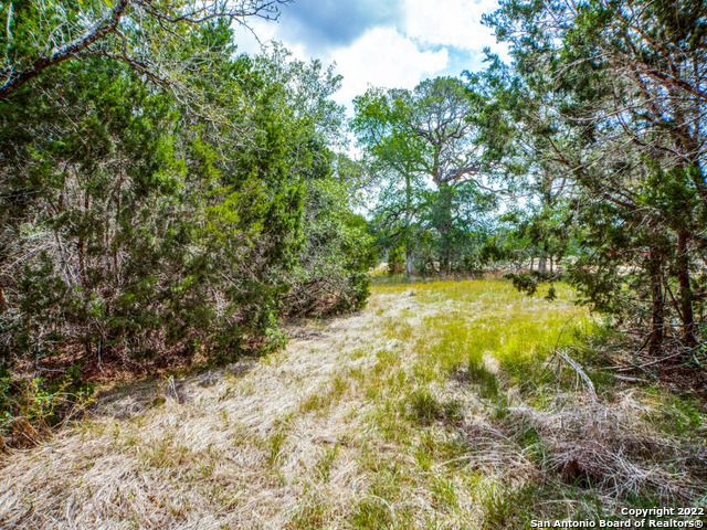 708 Sharp Spgs Road Bulverde, TX 78163 - Photo 6 of 17