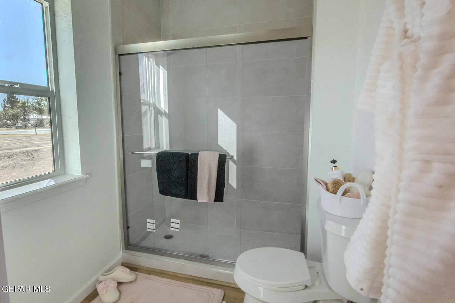 4 Cielo Del Este Anthony, NM 88021 - Photo 30 of 90 4 Cielo del Este _ 028