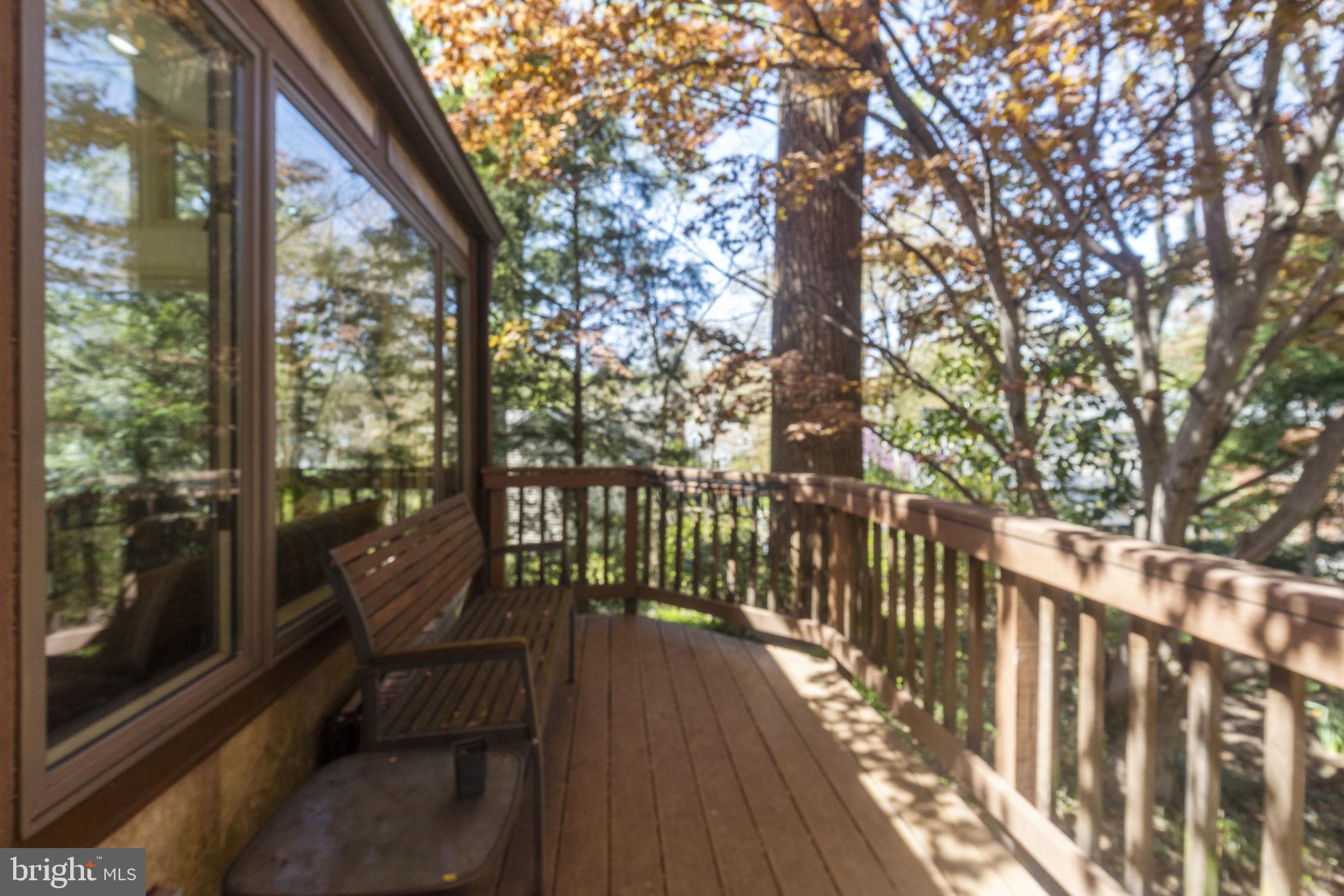 9506 Thornhill Road Silver Spring, MD 20901 - Photo 7 of 22 Main Level Deck off sunroom