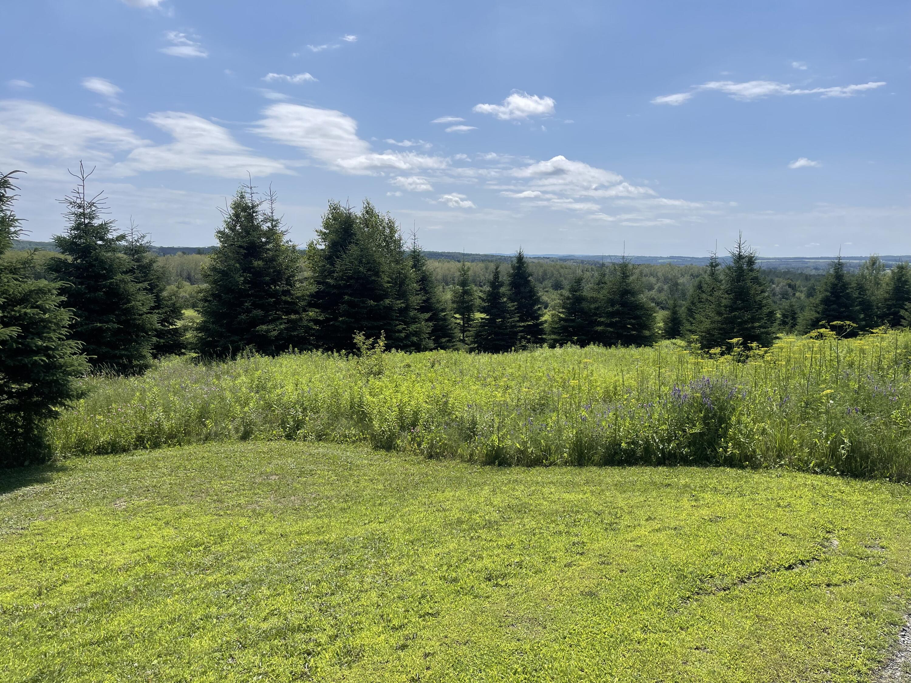 0 Grimes Road Caribou, ME 04736 - Photo 2 of 4 IMG_6572