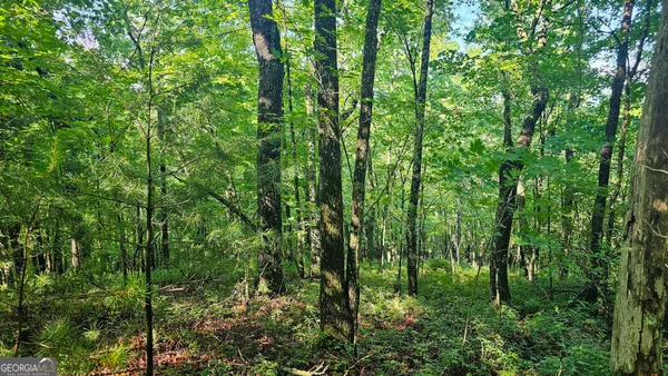 $160,000 | 0 Cornsilk Lane, Tiger, GA 30576