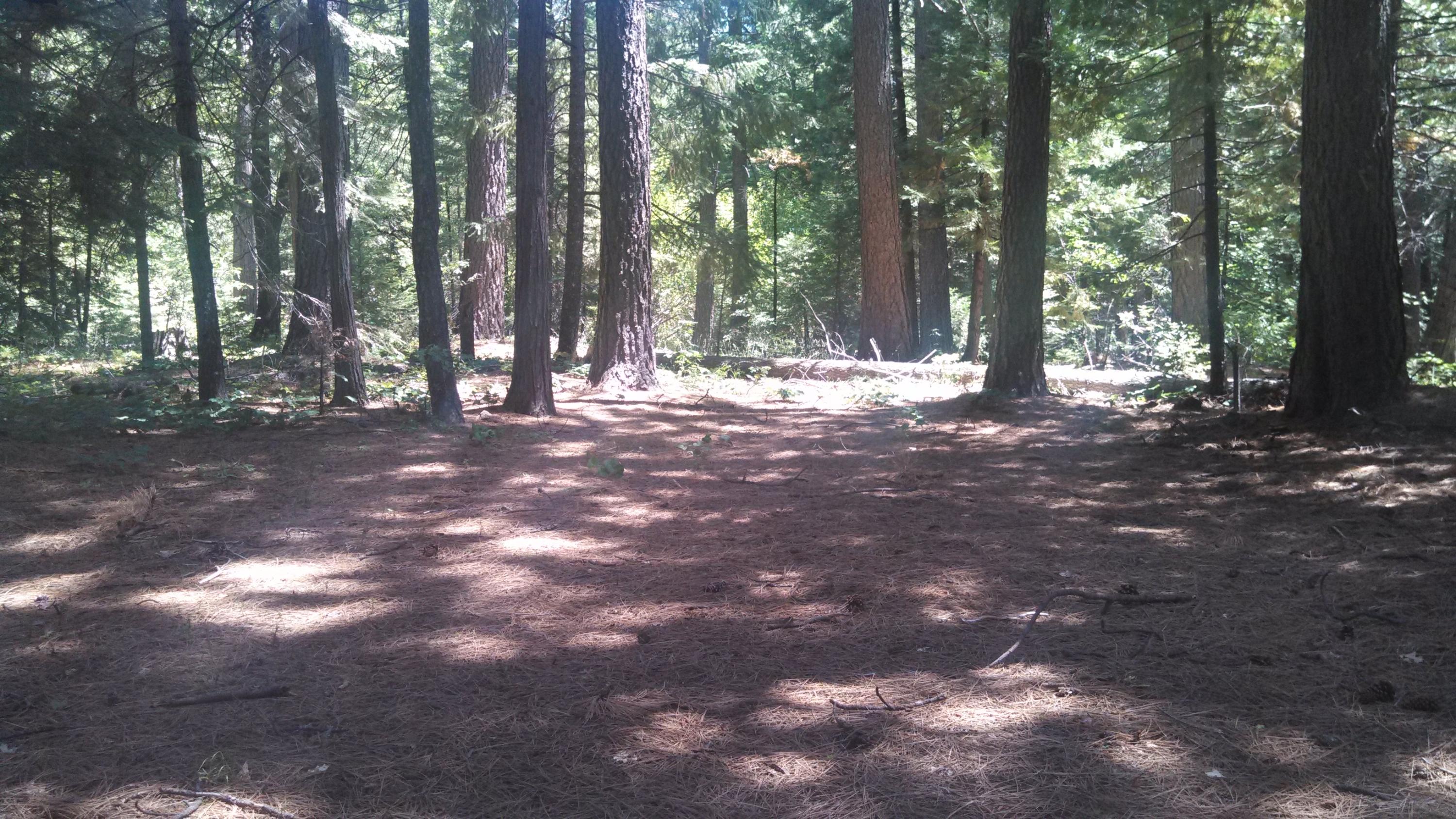 7705 Pegnan Road Shingletown, CA 96088 - Photo 1 of 5 IMG_20130620_120505_542