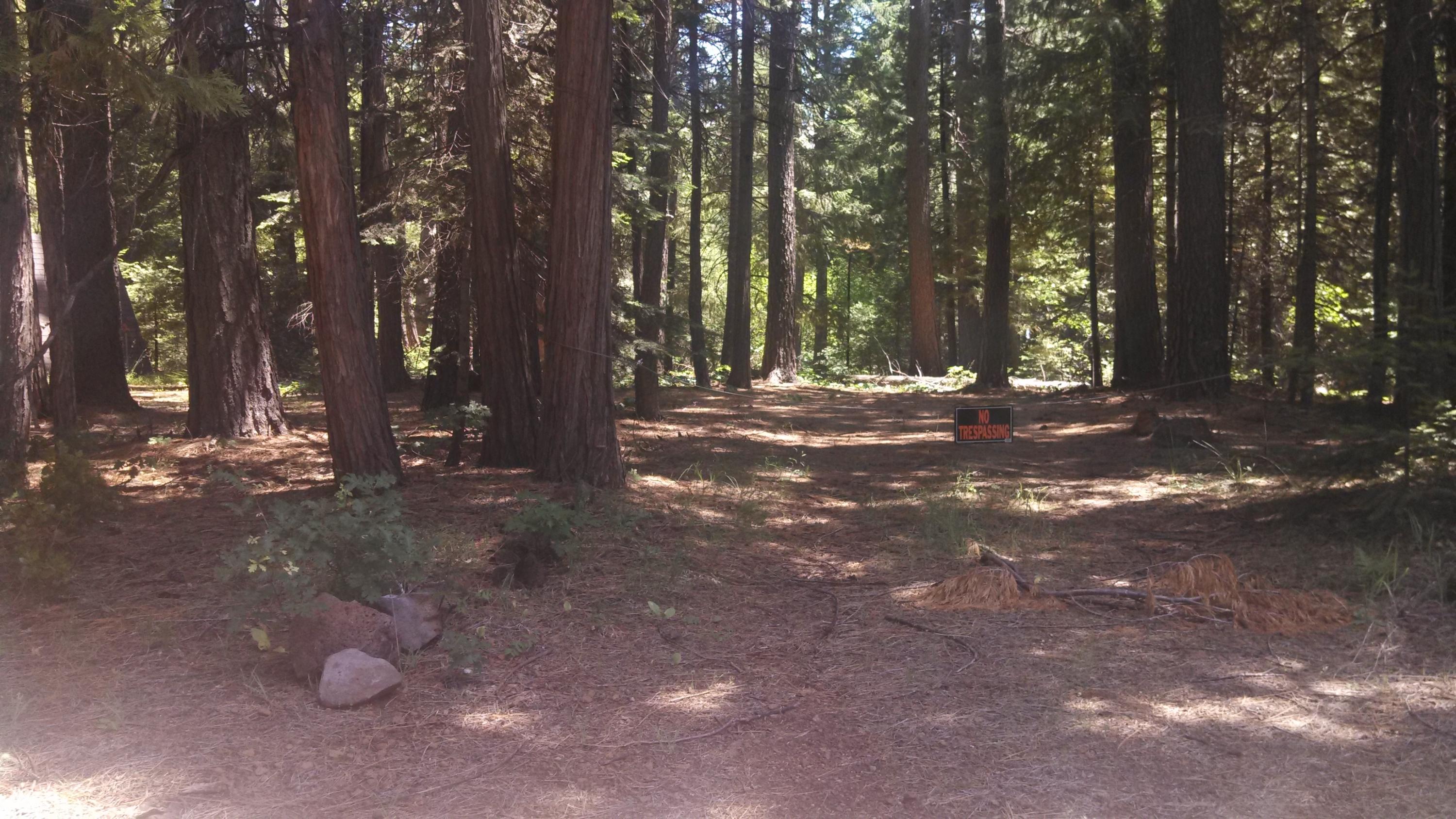 7705 Pegnan Road Shingletown, CA 96088 - Photo 2 of 5 IMG_20130620_120339_175