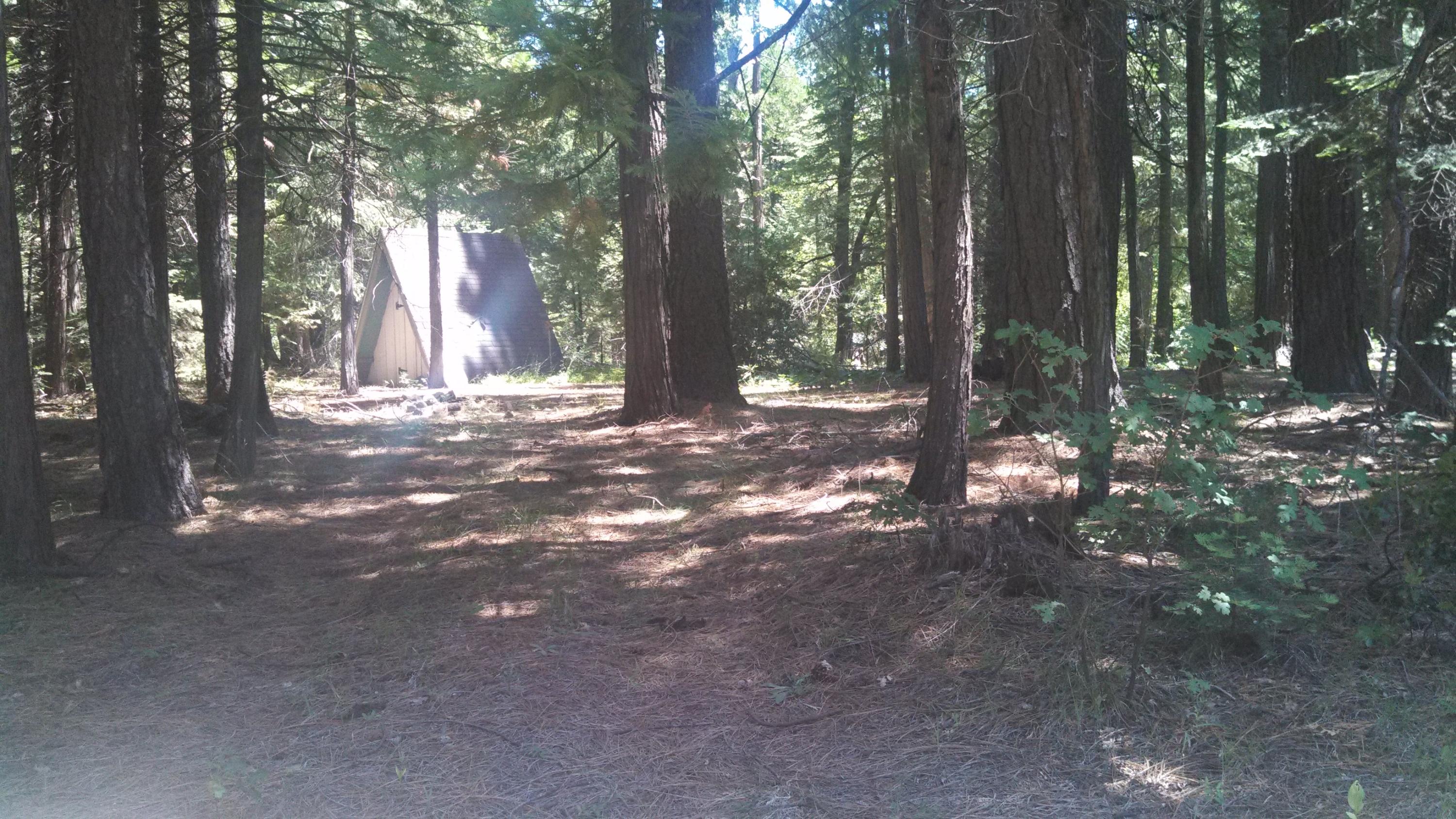 7705 Pegnan Road Shingletown, CA 96088 - Photo 3 of 5 IMG_20130620_120349_620