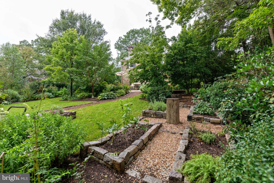 3917 Juniper Road Baltimore, MD 21218 - Photo 60 of 75 Planting beds