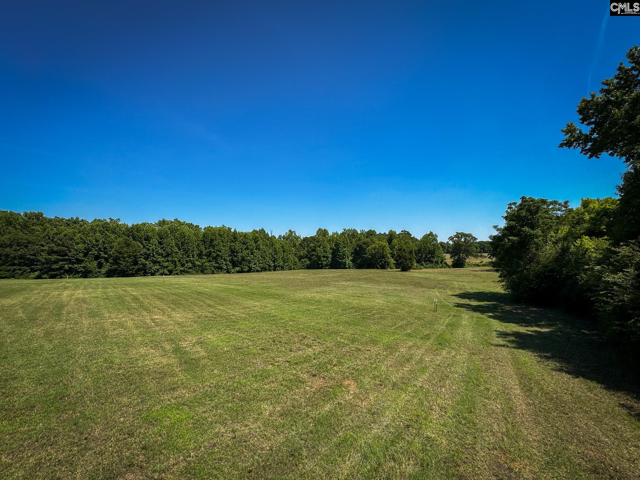 0 Shealy Road, Unit LOT 3 Batesburg, SC 29006 - Photo 8 of 16 a view of an ocean from a yard