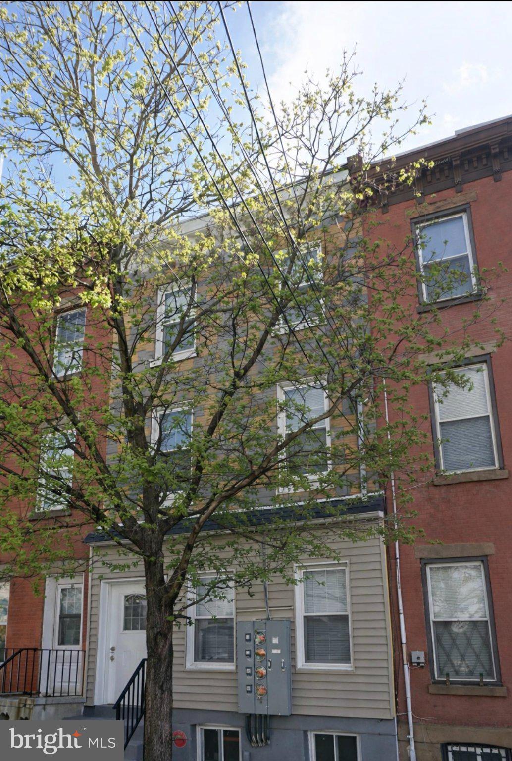 2045 North 8th Street, Unit 3 Philadelphia, PA 19122 - Photo 1 of 9 a large tree in the middle of a building