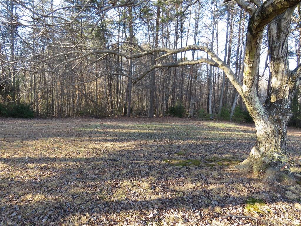 5826 Jones Road Walkertown, NC 27051 - Photo 28 of 29 Property from backyard view