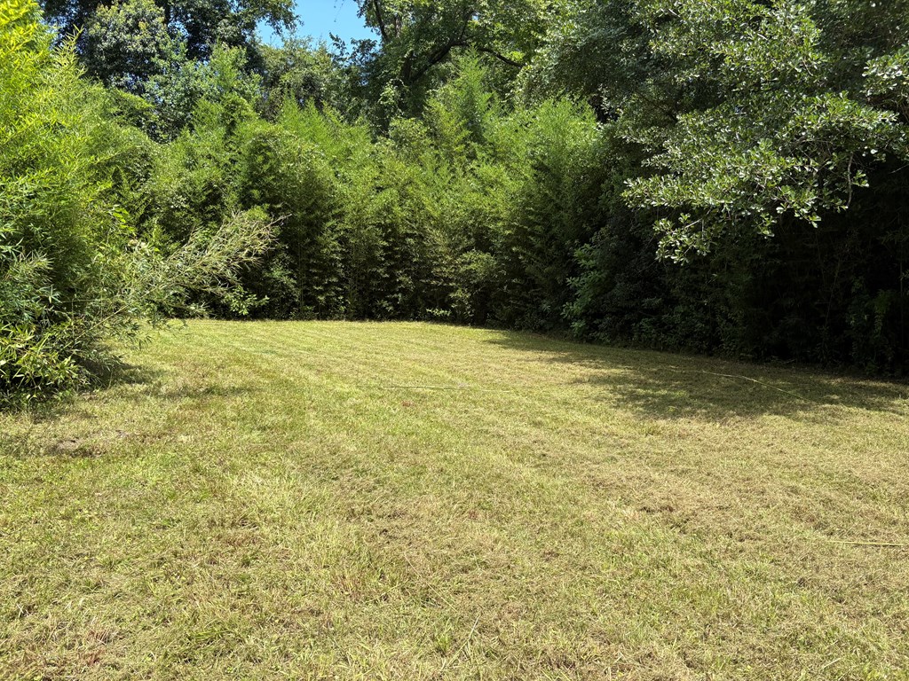 609 Lakegrove Road Wewahitchka, FL 32465 - Photo 4 of 39 Gallery Image 4