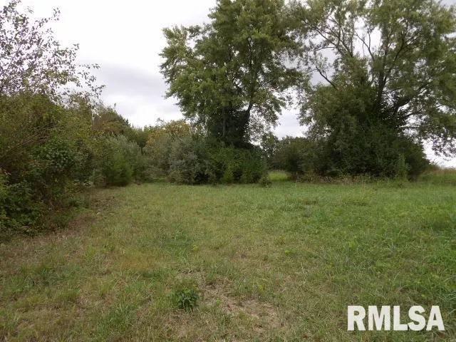 a view of a field of grass and trees