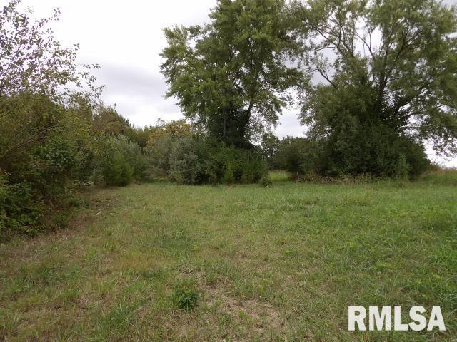 a view of a field of grass and trees