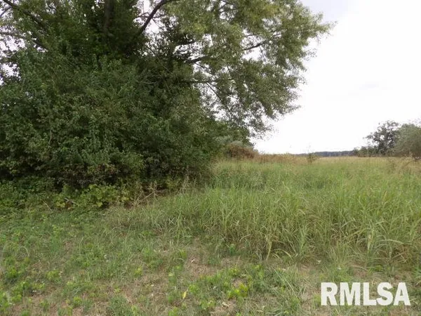a view of a lake with a mountain in the background