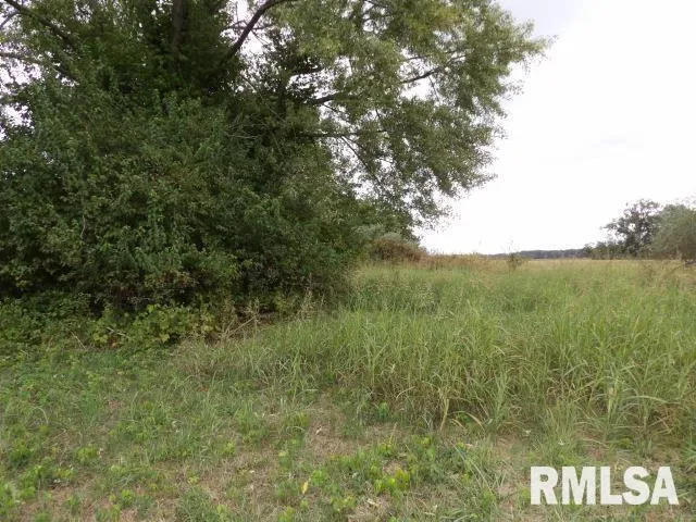 a view of a lake with a mountain in the background