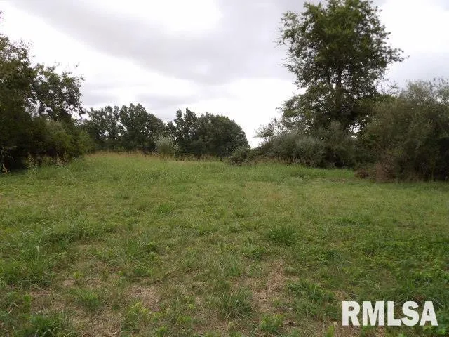 a view of a field with an trees
