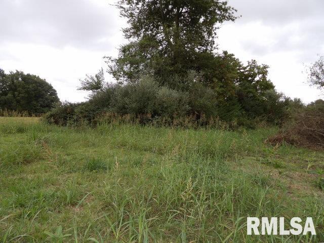 Ooo Moore Street Eldorado, IL 62930 - Photo 4 of 7 a view of a lush green outdoor space with a lake view