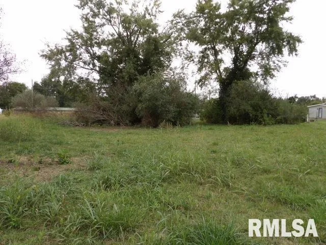 a view of a green field