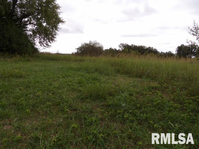 Ooo Moore Street Eldorado, IL 62930 - Photo 6 of 7 a view of a lake and green valley