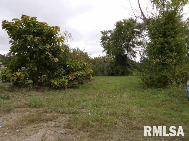 Ooo Moore Street Eldorado, IL 62930 - Photo 7 of 7 a view of outdoor space and yard