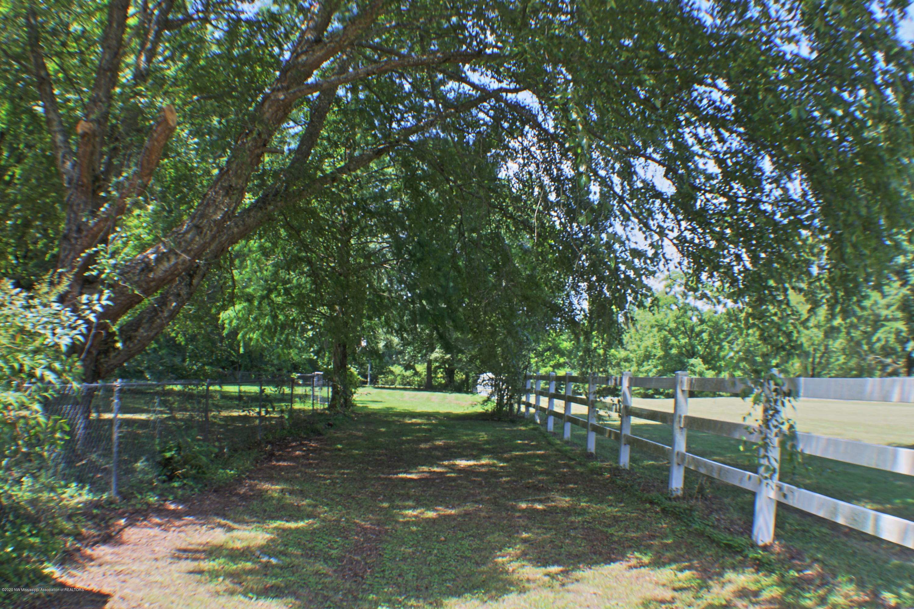 474 Pleasant Hill Road Nesbit, MS 38651 - Photo 11 of 13 side yard