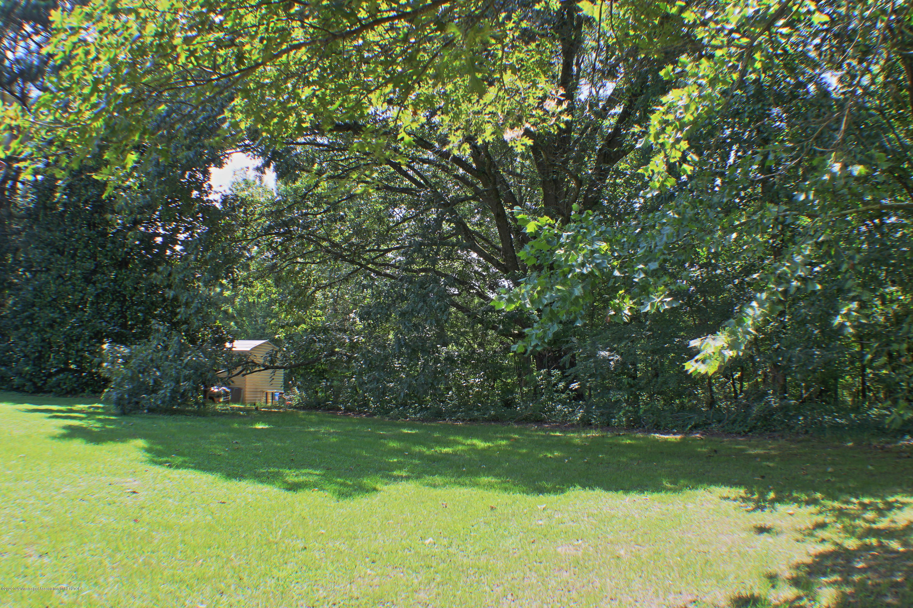 474 Pleasant Hill Road Nesbit, MS 38651 - Photo 13 of 13 Trees