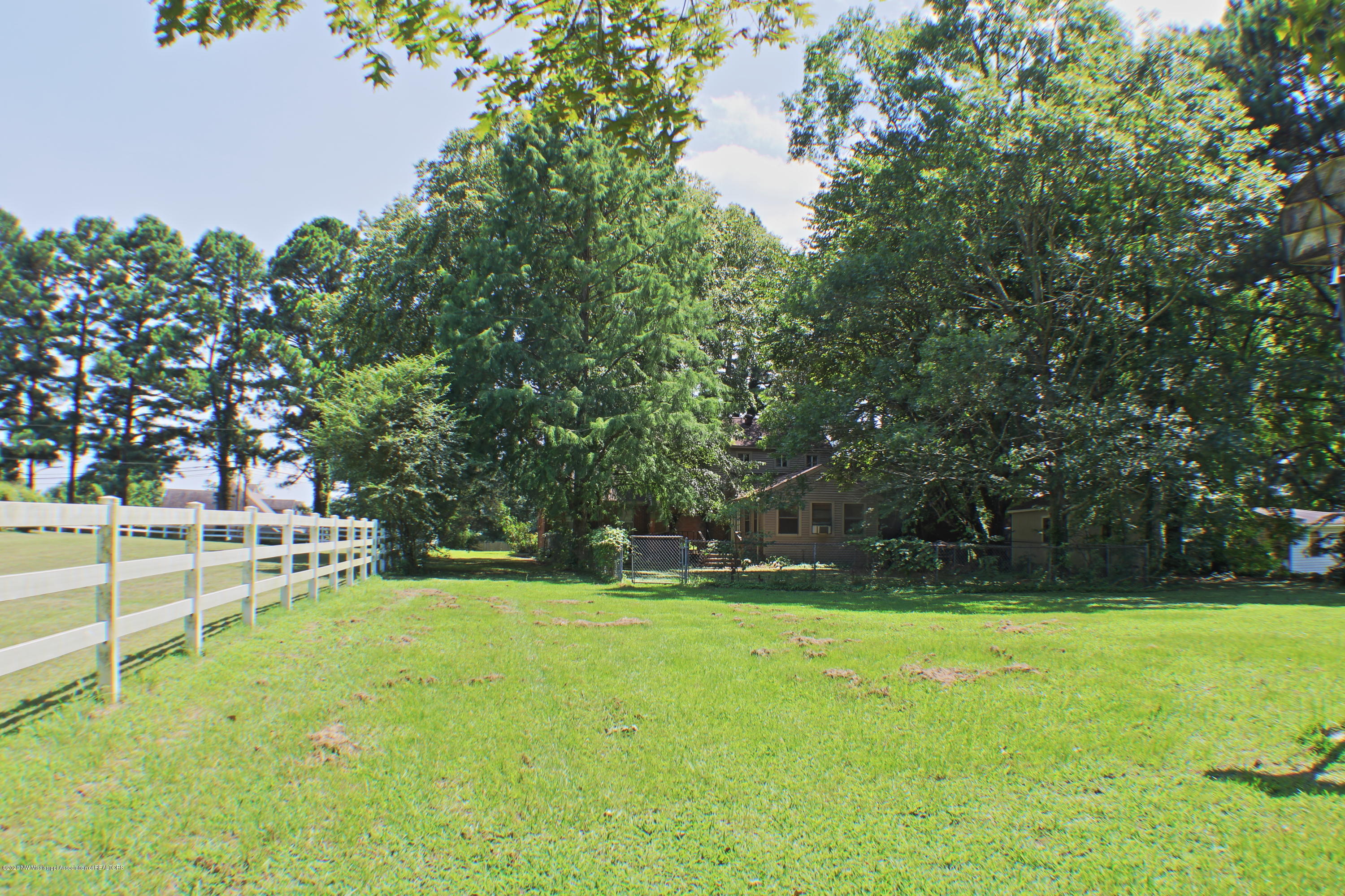 474 Pleasant Hill Road Nesbit, MS 38651 - Photo 3 of 13 Back Back yard