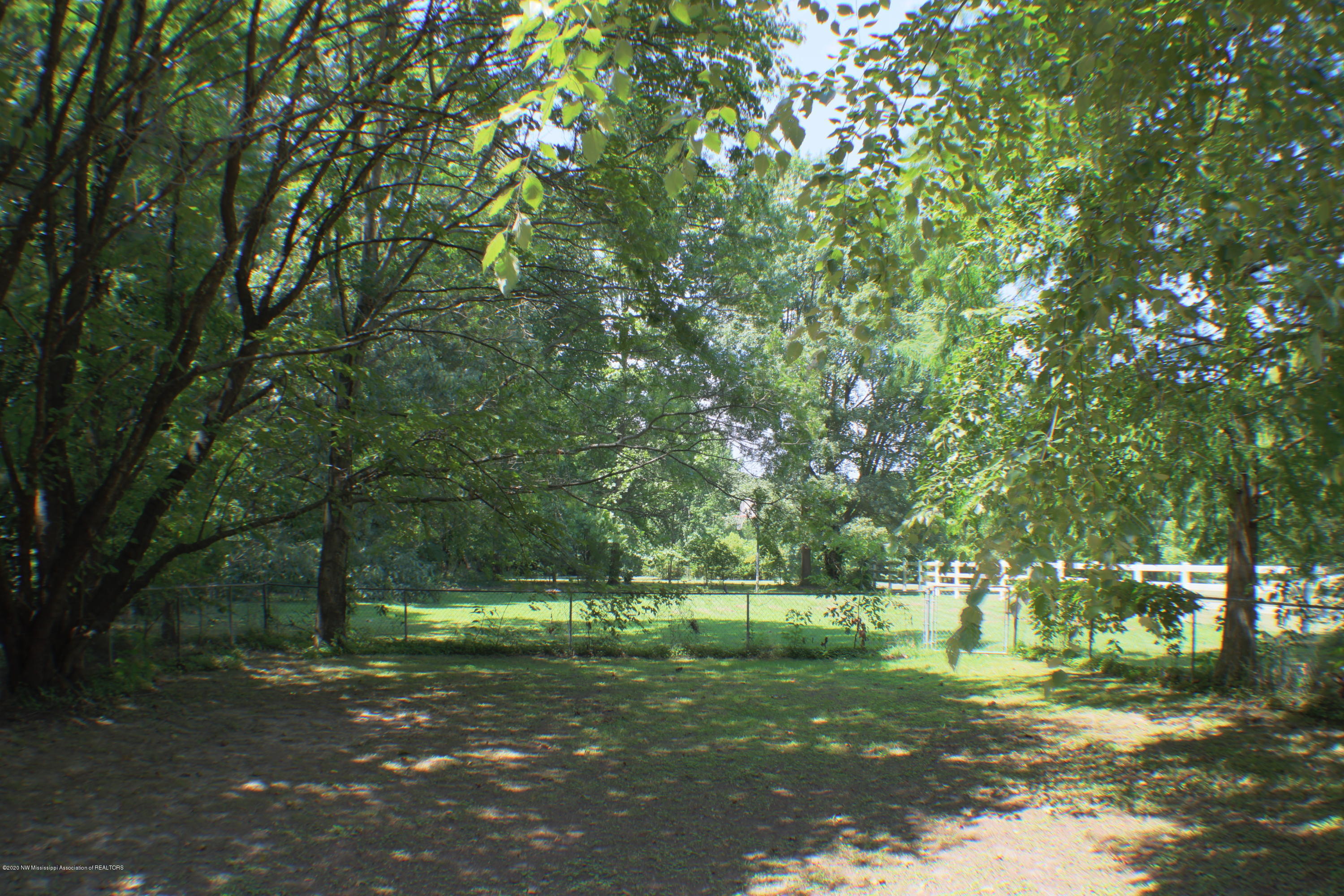 474 Pleasant Hill Road Nesbit, MS 38651 - Photo 4 of 13 backyard