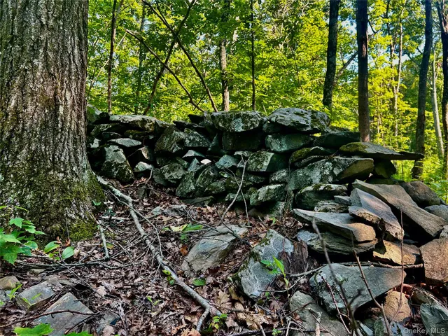 a view of a house in a forest