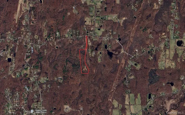 a view of a forest with a forest