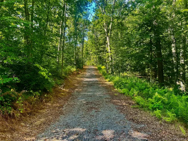 a view of a yard with plants and trees