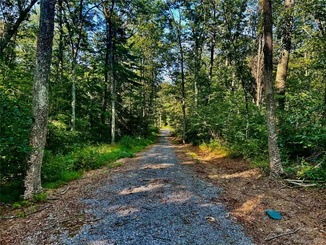 a view of a tree in a yard