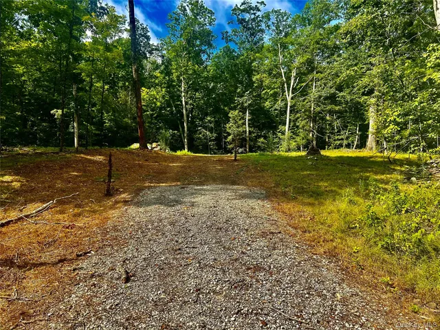 a view of a trees with a yard
